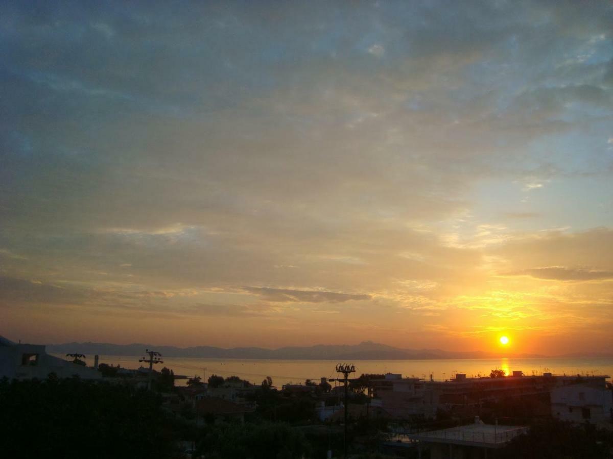 아르테미다 Smile House Near Athens Airport 300M From The Sea 빌라 외부 사진