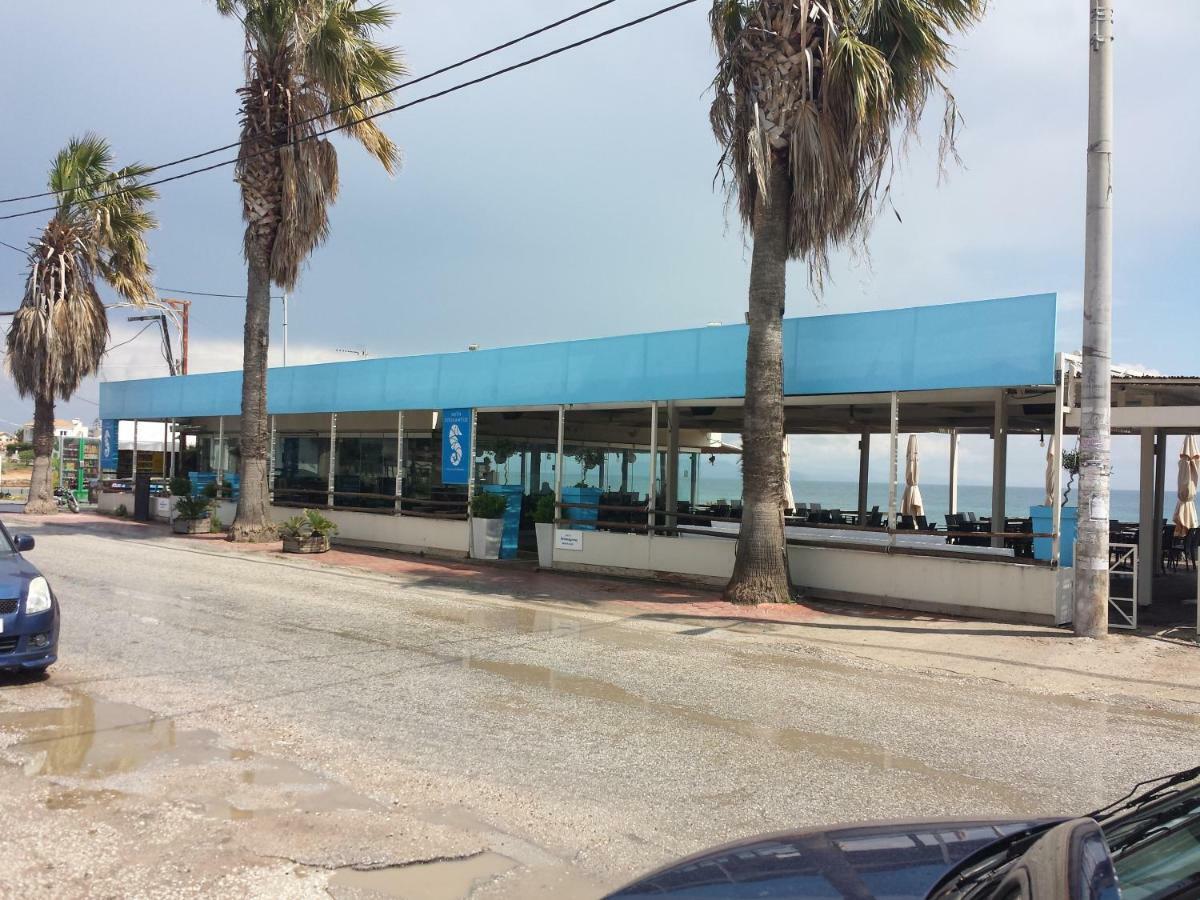 아르테미다 Smile House Near Athens Airport 300M From The Sea 빌라 외부 사진