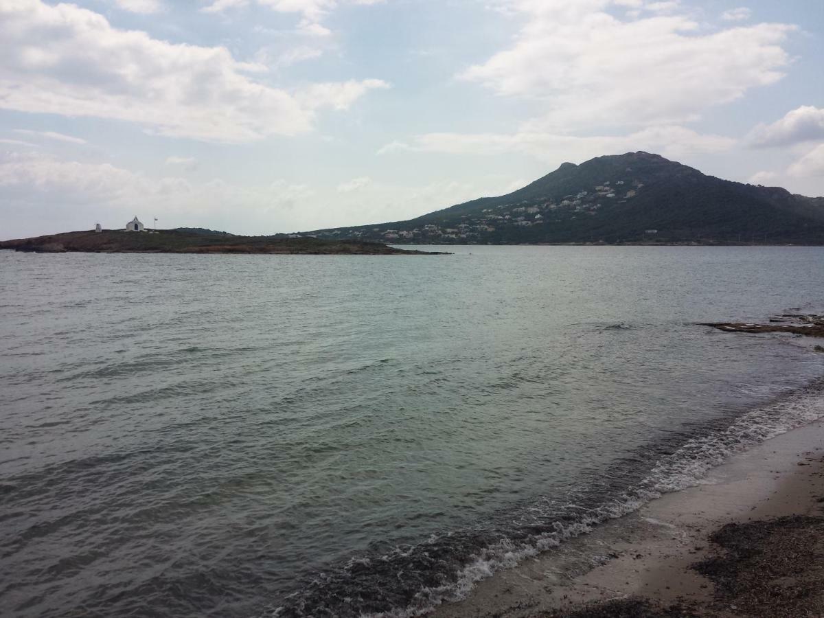 아르테미다 Smile House Near Athens Airport 300M From The Sea 빌라 외부 사진