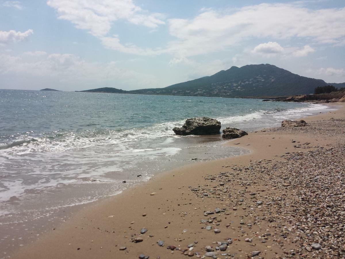 아르테미다 Smile House Near Athens Airport 300M From The Sea 빌라 외부 사진
