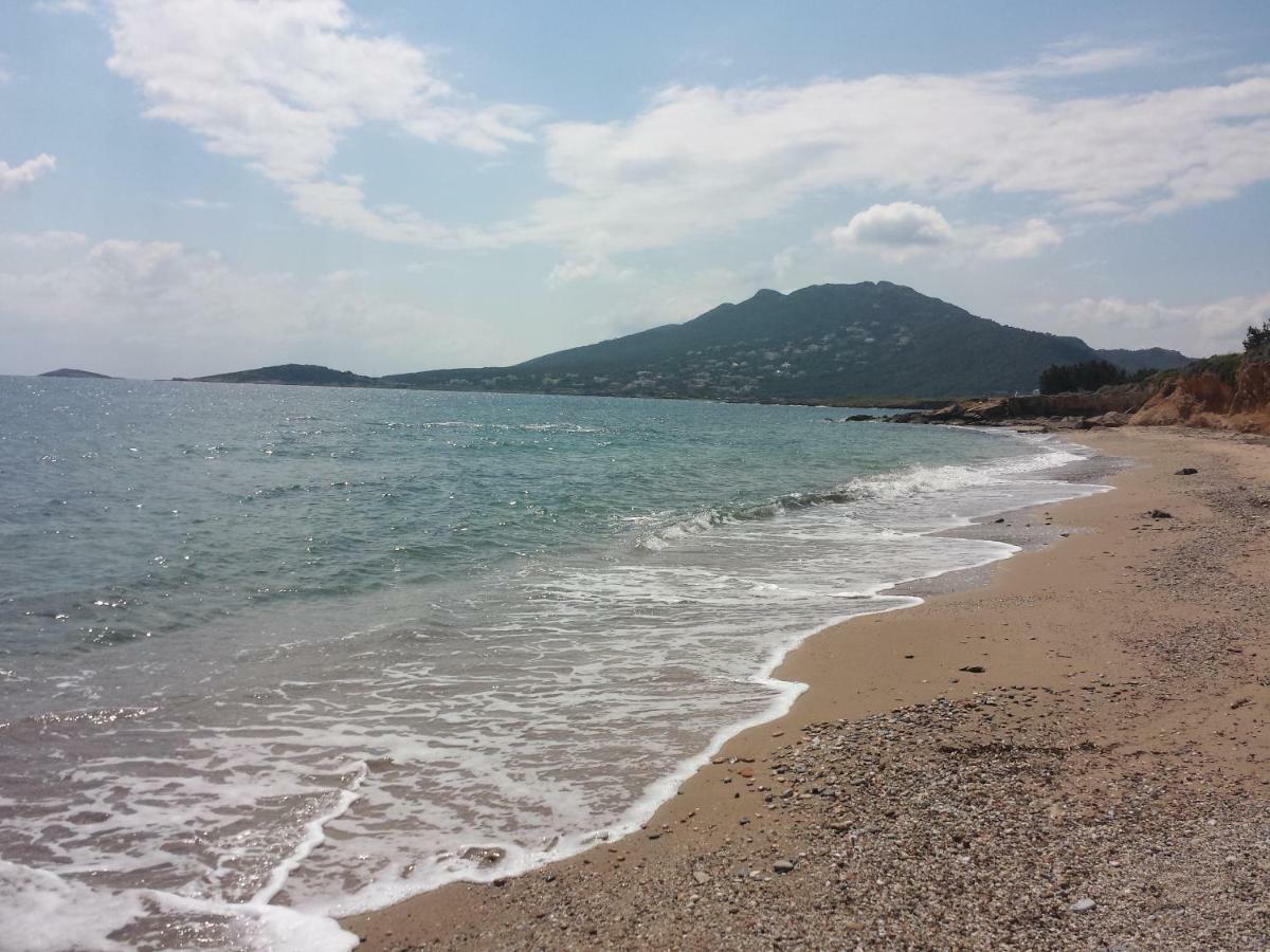 아르테미다 Smile House Near Athens Airport 300M From The Sea 빌라 외부 사진