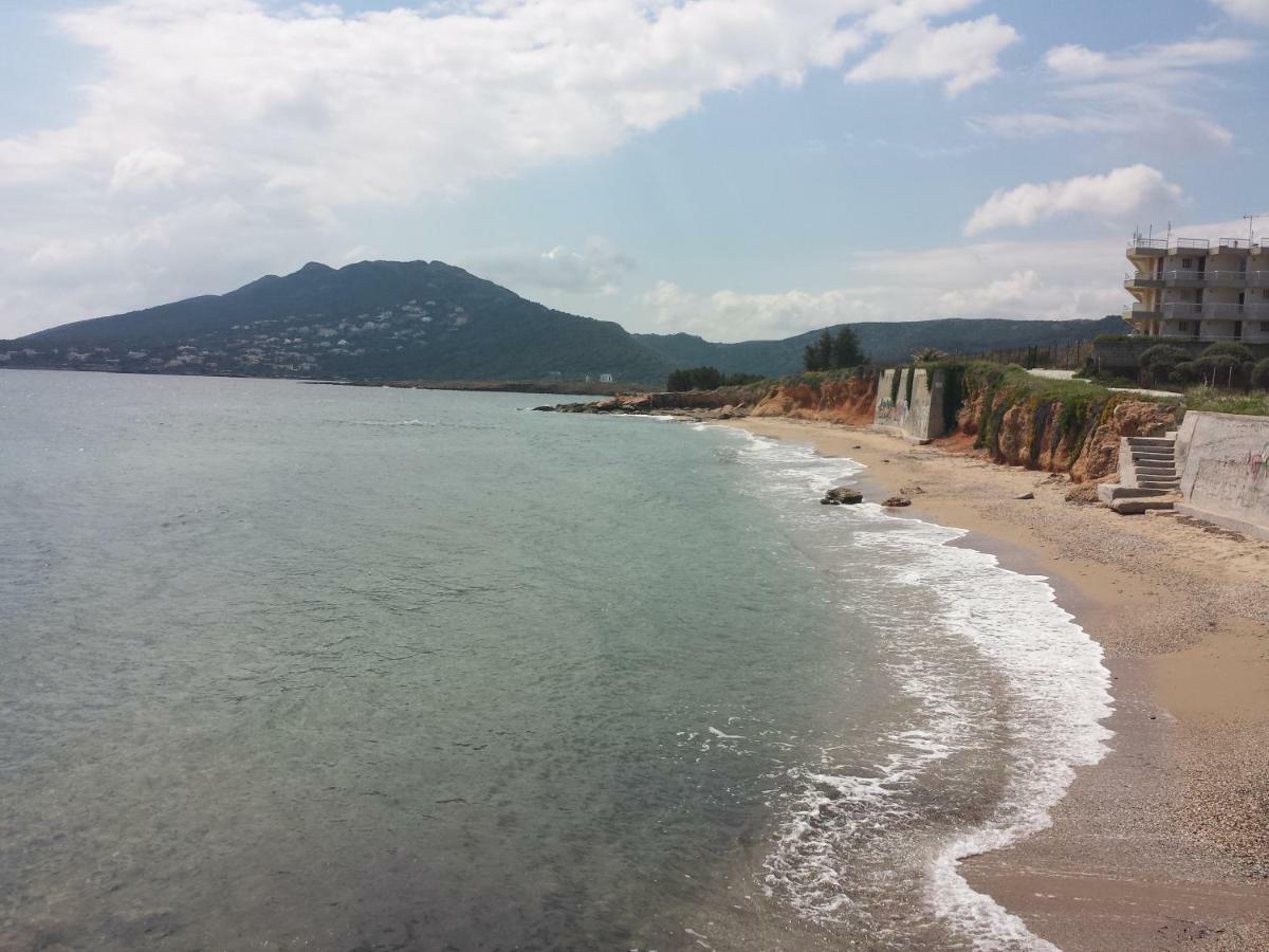 아르테미다 Smile House Near Athens Airport 300M From The Sea 빌라 외부 사진