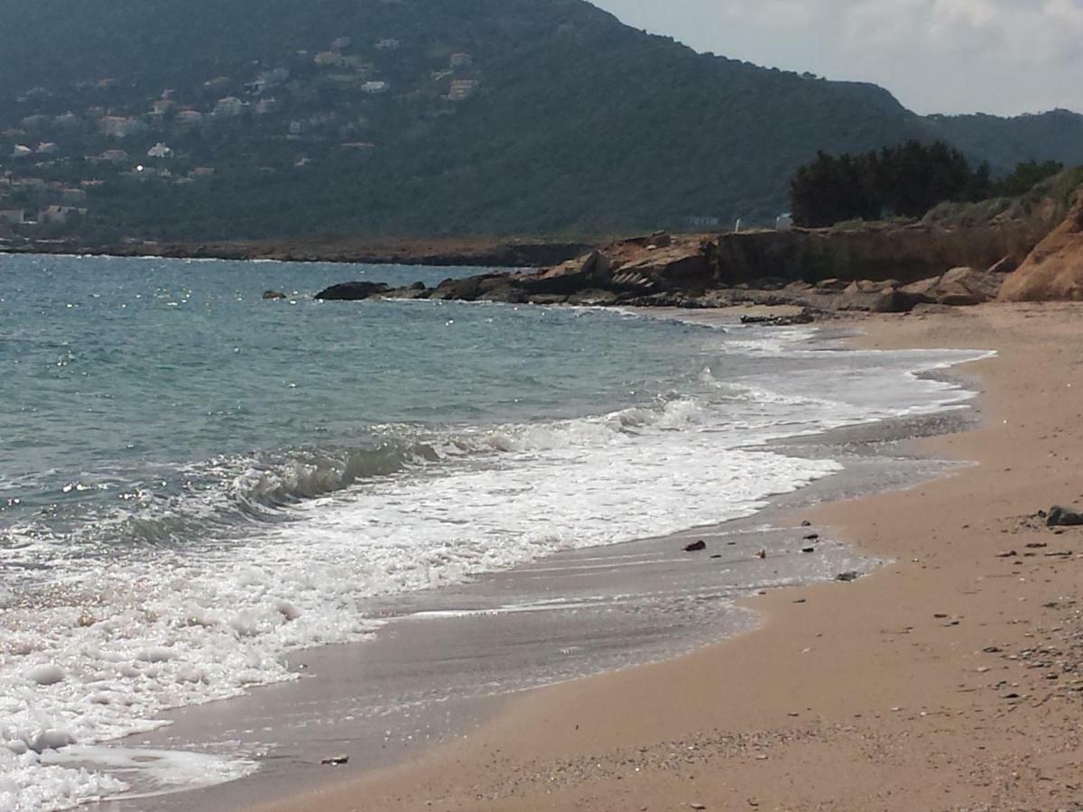 아르테미다 Smile House Near Athens Airport 300M From The Sea 빌라 외부 사진